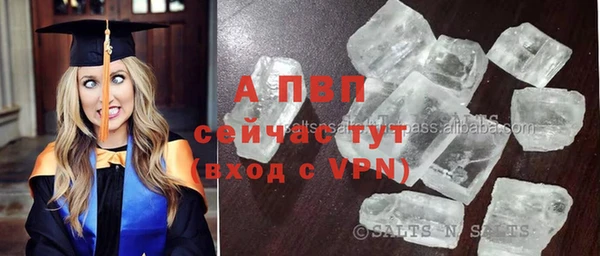 спайс Беломорск