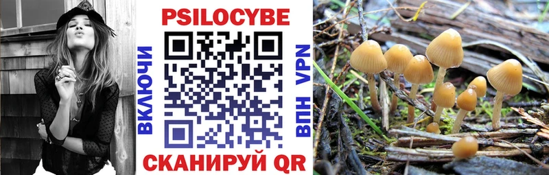 Купить  Дрезна  Галлюциногенные грибы Cubensis 